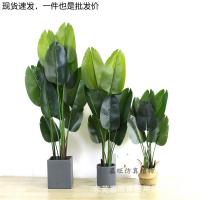 uploads/erp/collection/images/Home Garden/dgjiawang/XU0612783/img_b/XU0612783_img_b_3